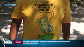 "Touche pas aux cigales, sinon tu prends une mandale!": le message très direct aux touristes