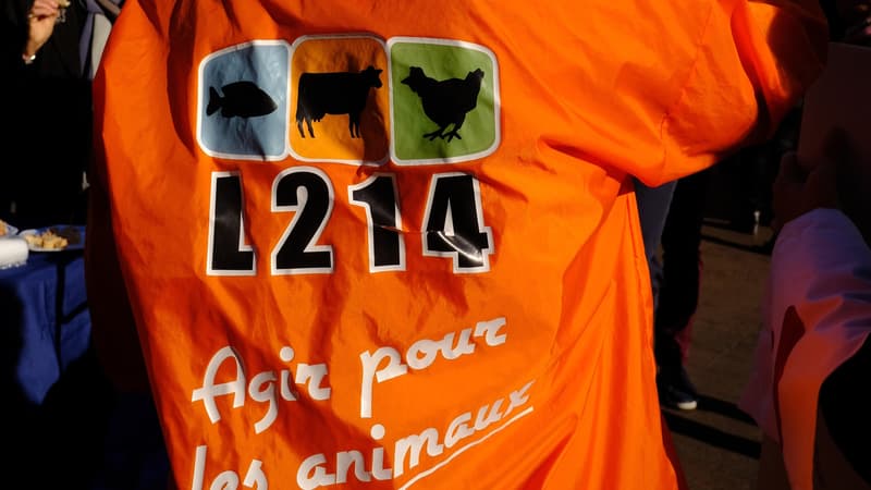 L'association de  défense des animaux L214 a publié une vidéo mettant en cause un élevage de cochons en France.