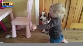Une petite fille console son chien après une bêtise 