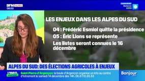Alpes du Sud: les enjeux des élections des chambres d'agriculture
