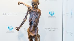 Cette photographie fournie le 20 avril 2016 par le musée archéologique du Tyrol du sud à Bolzano, en Italie, montre Une réplique grandeur nature d'Ötzi, l'homme des glaces de 5.300 ans, dont le corps momifié a été trouvé dans les Alpes e...