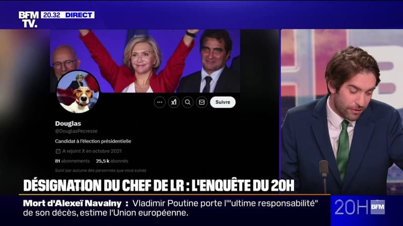 L'ENQUÊTE DU 20H BFM - Les adhérents du parti Les Républicains se préparent à élire leur président