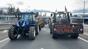 Un convoi d'agriculteurs manifestant en tracteurs sur la M6 dans le Rhône le mercredi 24 janvier 2024.
