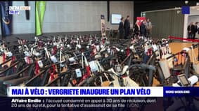 Mai à Vélo: Patrice Vergriete inaugure un grand plan vélo 