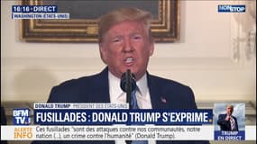 Donald Trump: "C'est la santé mentale qui engendre ces attaques, pas les armes"