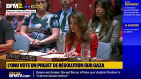 Appel à un cessez-le-feu à Gaza : nouveau véto américain au Conseil de sécurité de l'ONU