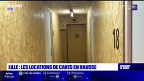 Lille: les locations de caves en hausse