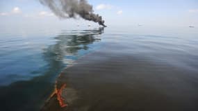 La marée noire, au large du Mexique, a répandu des centaines de millions de litres de brut dans l'océan.