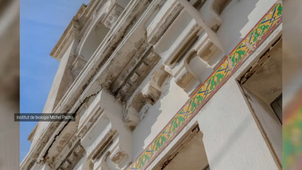 Des fissures sur la bâtisse de l'institut de biologie marine Michel Pacha. Des fissures sur la bâtisse de l'institut de biologie marine Michel Pacha.