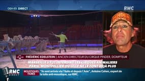 Fin des animaux dans les cirques? Marseille l'envisage. A Paris, Lille et Montpellier c'est acté