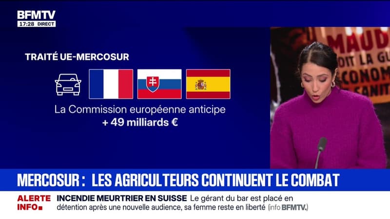 Secteur automobile, industrie chimique: qui sont les grands gagnants du traité UE-Mercosur ?