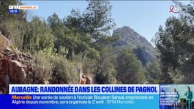 Passions Provence du samedi 22 mars 2025 - Aubagne, randonnée dans les collines de Pagnol