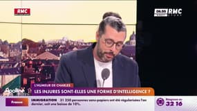 L'humeur de Charles : Les injures sont-elles une forme d'intelligence ? - 05/02