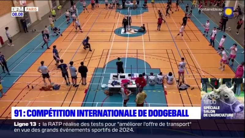 Essonne: Villebon-sur-Yvette accueille une compétition internationale de dodgeball