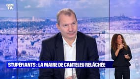 Stupéfiants : la maire de Canteleu et son adjoint relâchés - 10/10