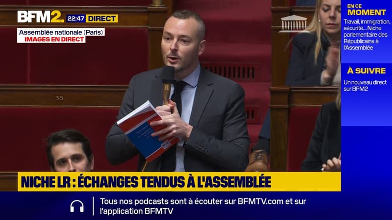 Assemblée: un député RN traite une députée LFI d' 