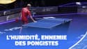 JO 2024 / Tennis de table: Pourquoi les pongistes s'essuient la main si près du filet