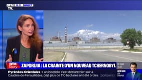 Aline Le Bail-Kremer: "Au regard du traumatisme qu'a été Tchernobyl, il n'y a aucun mobile pour que l'Ukraine tire" à Zaporijia