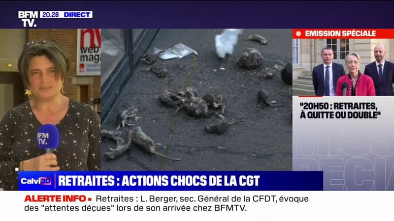 Retraites: des agents de la mairie de Paris ont déversé des cadavres de rats devant l'hôtel de ville