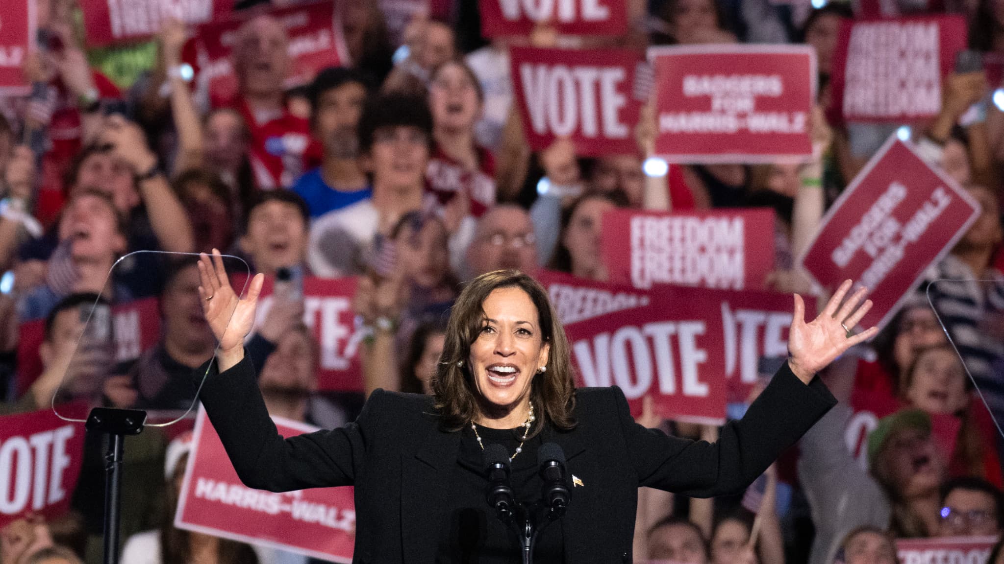 Kamala Harris en meeting à Madison, dans le Wisconsin, le 31 octobre 2024
