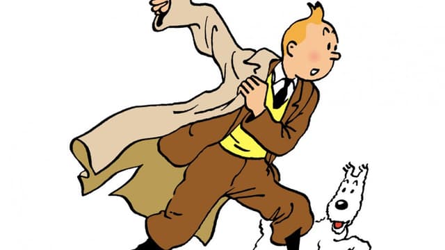"Mille milliards de mille sabords!": plus de 250.000 euros pour un dessin original de Tintin par Hergé
