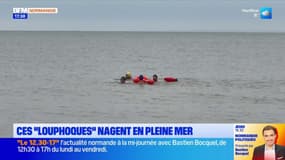 Calvados: ces nageurs se baignent dans la mer en plein mois de décembre