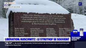 Bas-Rhin: le Centre Européen du Résistant déporté est un lieu de mémoire