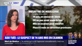 Adolescente tuée à Ivry: le suspect de 14 ans mis en examen pour meurtre, la préméditation n'a pas été retenue