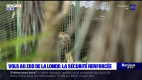 Var: la sécurité est renforcée au zoo de la Londe-les-Maures après les vols de singes