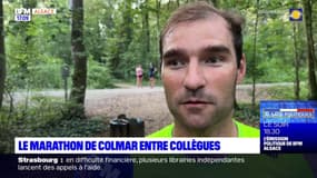 Colmar: un marathon entre collègues 