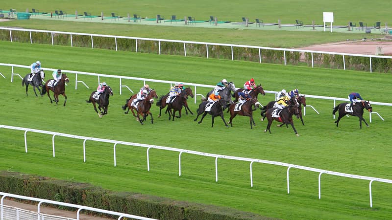 Les pronos hippiques du 29 mars 2025