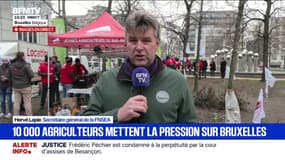 Mercosur: "Tant que nous n'avons pas de vraies clauses de réciprocité sur les normes sanitaires, environnementales, nous ne lâcherons rien", affirme Hervé Lapie (FNSEA)