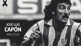 José Luis Capon