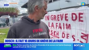 Usine Bosch de Mondeville: un salarié en grève de la faim depuis 10 jours face à son licenciement 