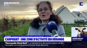 Carpiquet: une zone d'activité qui dérange