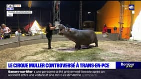 Var: controversé pour son usage d'animaux, le cirque Muller de retour à Trans-en-Provence