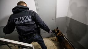Un officier de l'unité canine de la police participe à une opération de police appelée « place nette » (« vidé ») dans le quartier nord de « font-Vert » à Marseille, dans le sud de la France, le 29 novembre 2023.