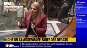 Niche parlementaire RN: l'immigration au cœur des débats