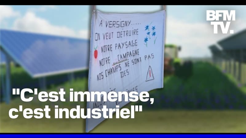 Colère des agriculteurs: dans l'Oise, le projet d'installer des panneaux solaires dans les champs est loin de faire l'unanimité