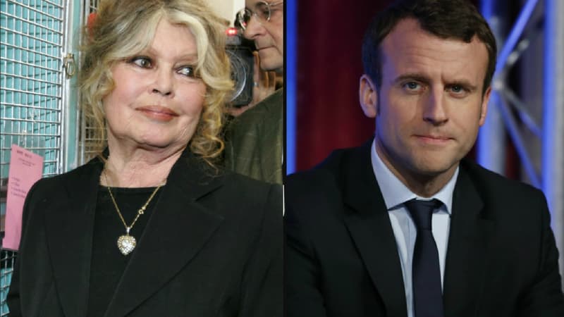 Brigitte Bardot a été reçue à l'Elysée par Emmanuel Macron, le 24 juillet 2018