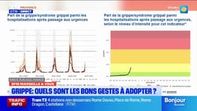 BFM Marseille et vous: les bons gestes à adopter face à la grippe