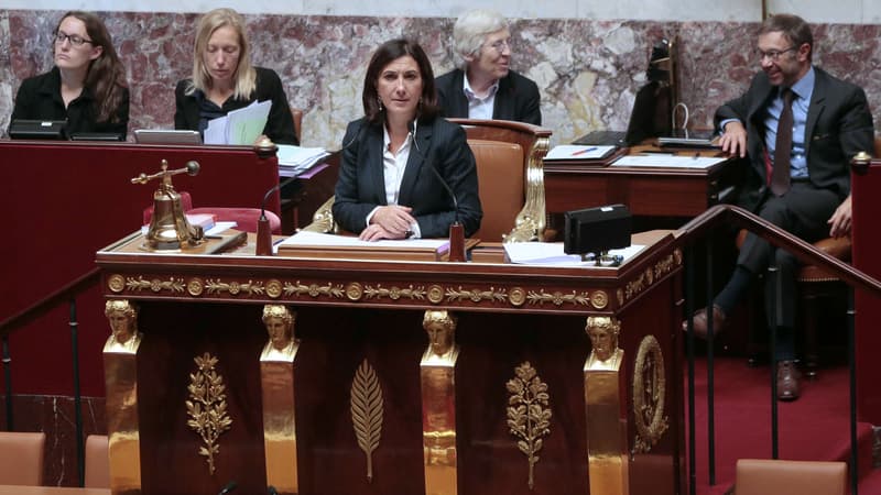 La vice-présidente de l'Assemblée Sandrine Mazetier (PS) a rendu hommage aux 33 premières femmes élues députées.