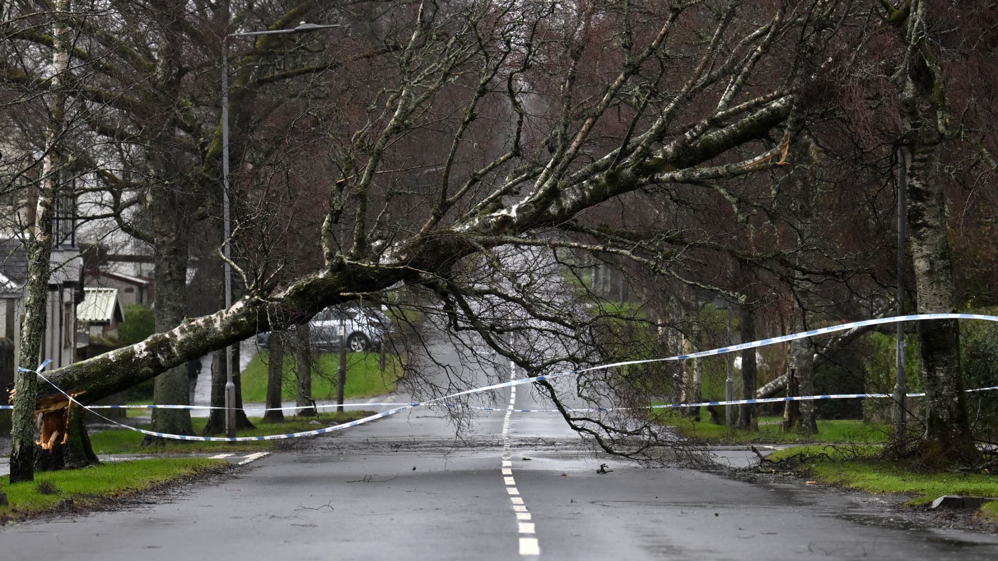 Un arbre tombé obstrue une route à Helensburgh, en Écosse, après le passage de la tempête Eowyn, le 24 janvier 2025.