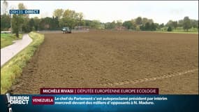 Pas de sortie du glyphosate dans les 3 ans à venir?  "Le lobby agricole a gagné" regrette Michèle Rivasi, députe Européenne Europe Ecologie