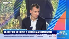 Le monde qui bouge - L'Interview : La culture du pavot a chuté en Afghanistan - 23/12