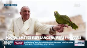 "Dupin Quotidien": un million de dollars pour le Pape... s'il mange vegan pendant le carême