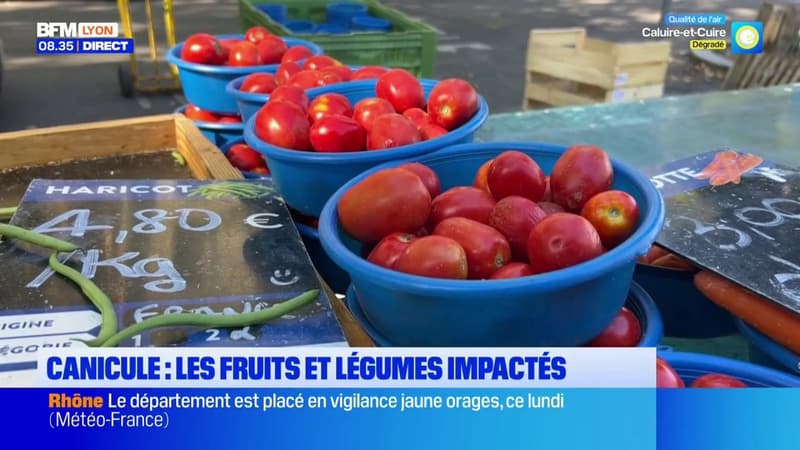 Canicule : des fruits et légumes non-calibrés et abîmés en vente sur les étals à Lyon