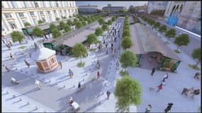 Le projet de rénovation du marché aux fleurs de la Cité à Paris.