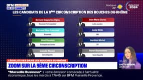 Législatives: ce que proposent les candidats de la 9e circonscription des Bouches-du-Rhône