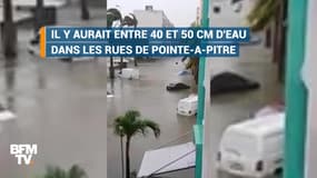 L’ouragan Maria laisse un paysage de désolation en Guadeloupe